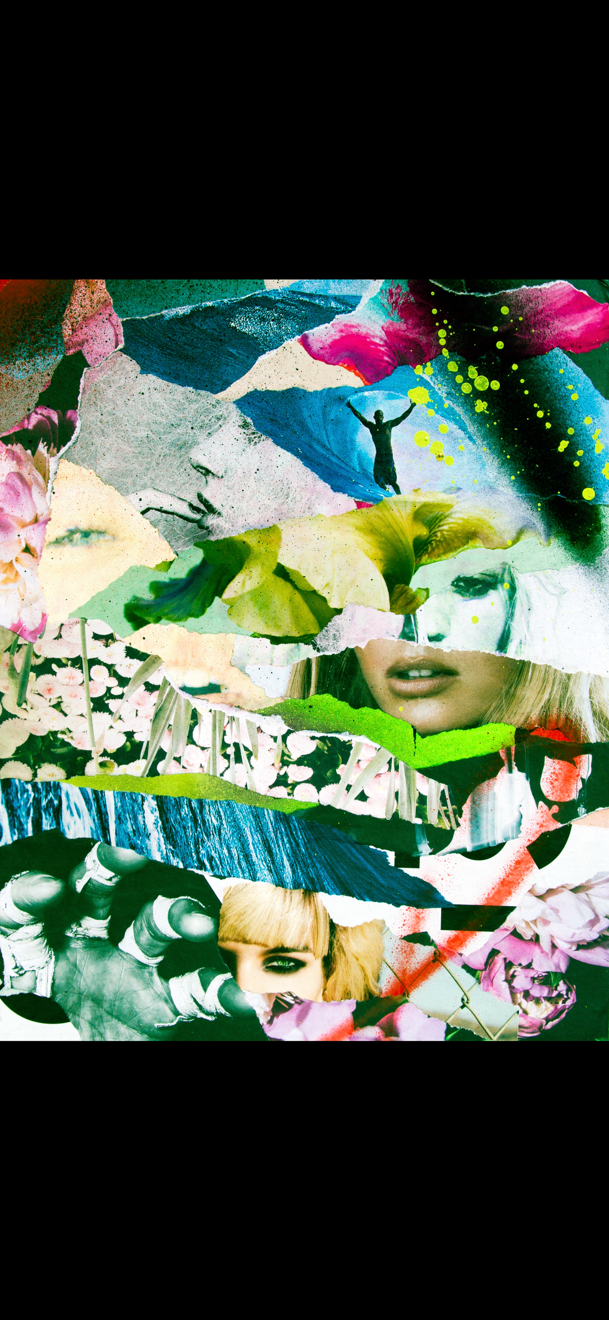Collage image 1